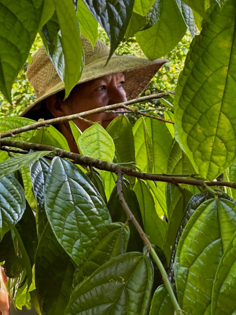 Randy's wife is a deep jungle herbalist, seeking to protect disappearing remedies from climate change. 