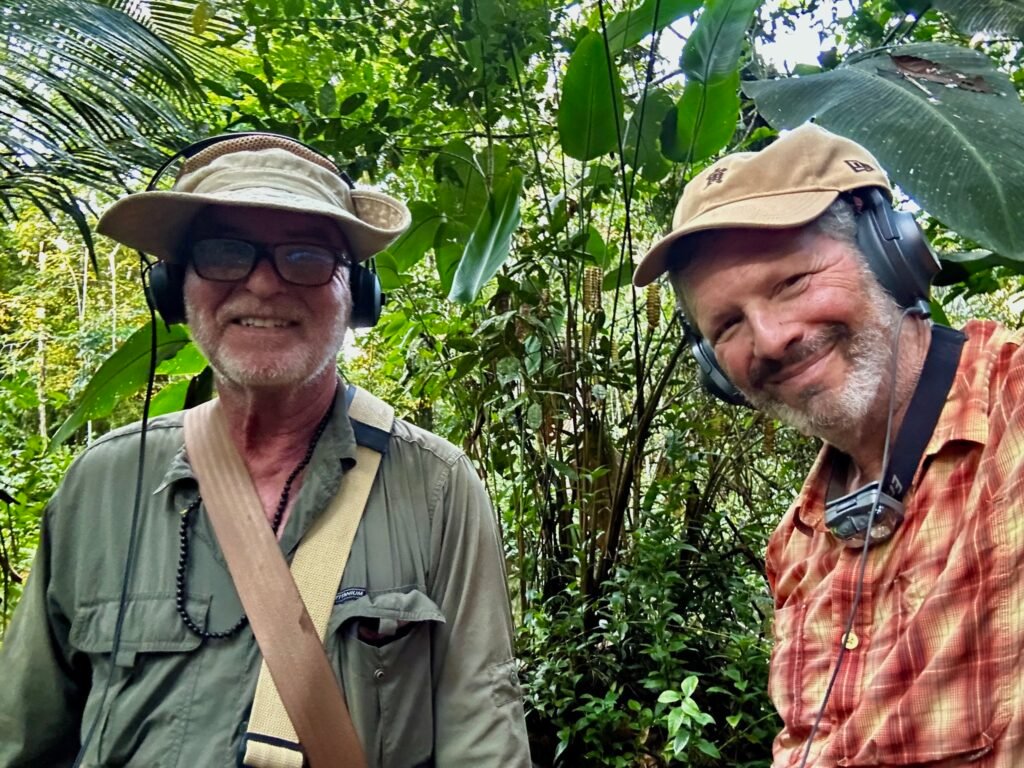 Recording the jungle sounds of: paired macaws flying overhead, teeming insects, trees falling and lurking animals at twilight. Wait until you hear our recording!