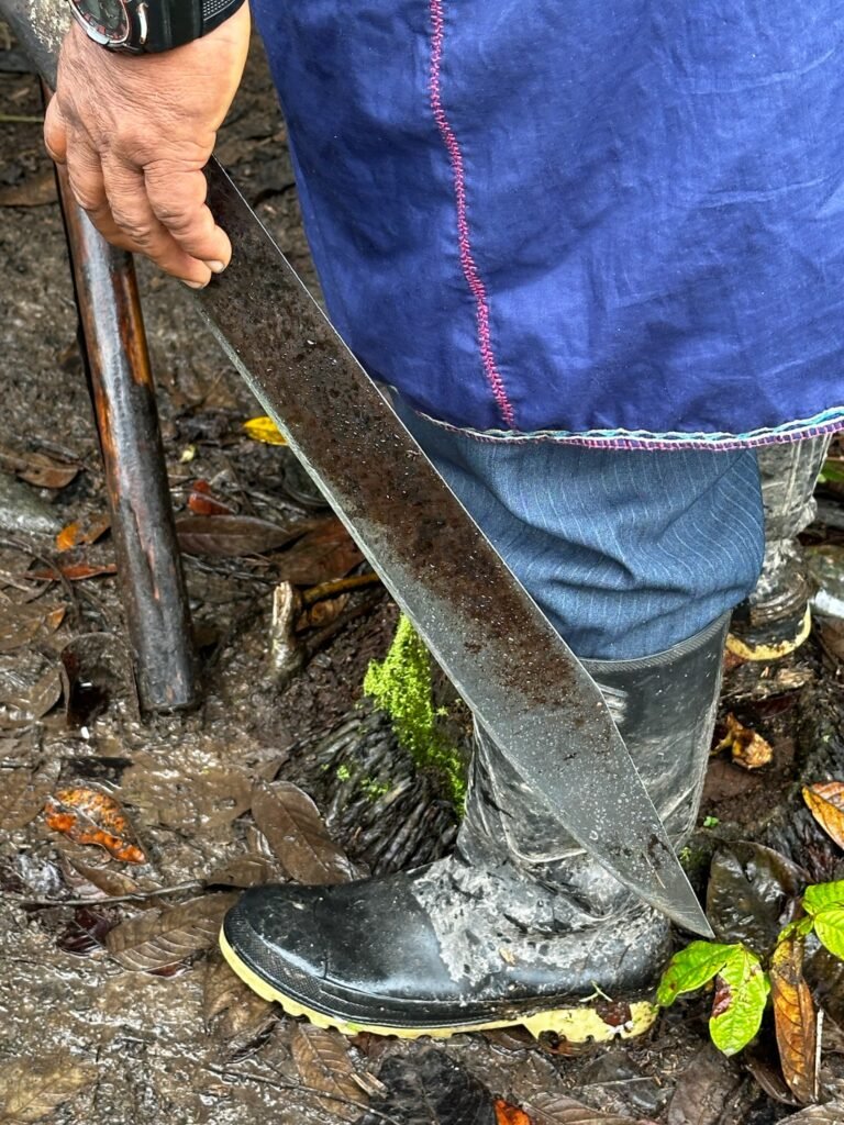 Luis's sharpened machete always at his side. 