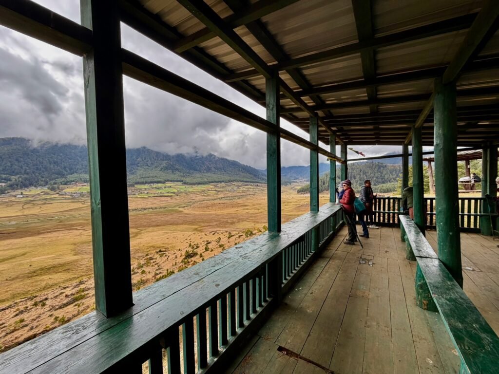 Looking for the black neck crane in Phobjikha Valley
