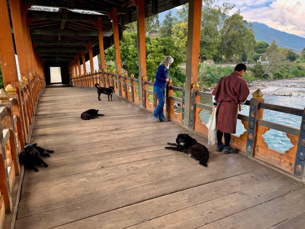 The wonderful, well-fed and clean dogs of Bhutan are everywhere