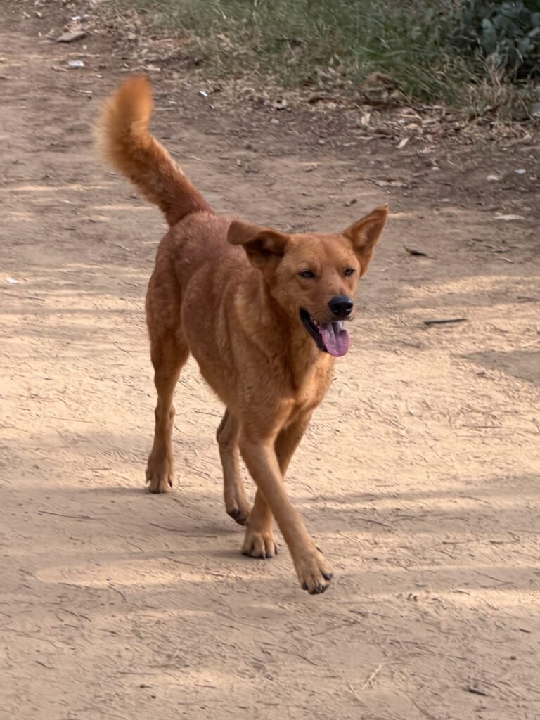 Be present. Stay content. 