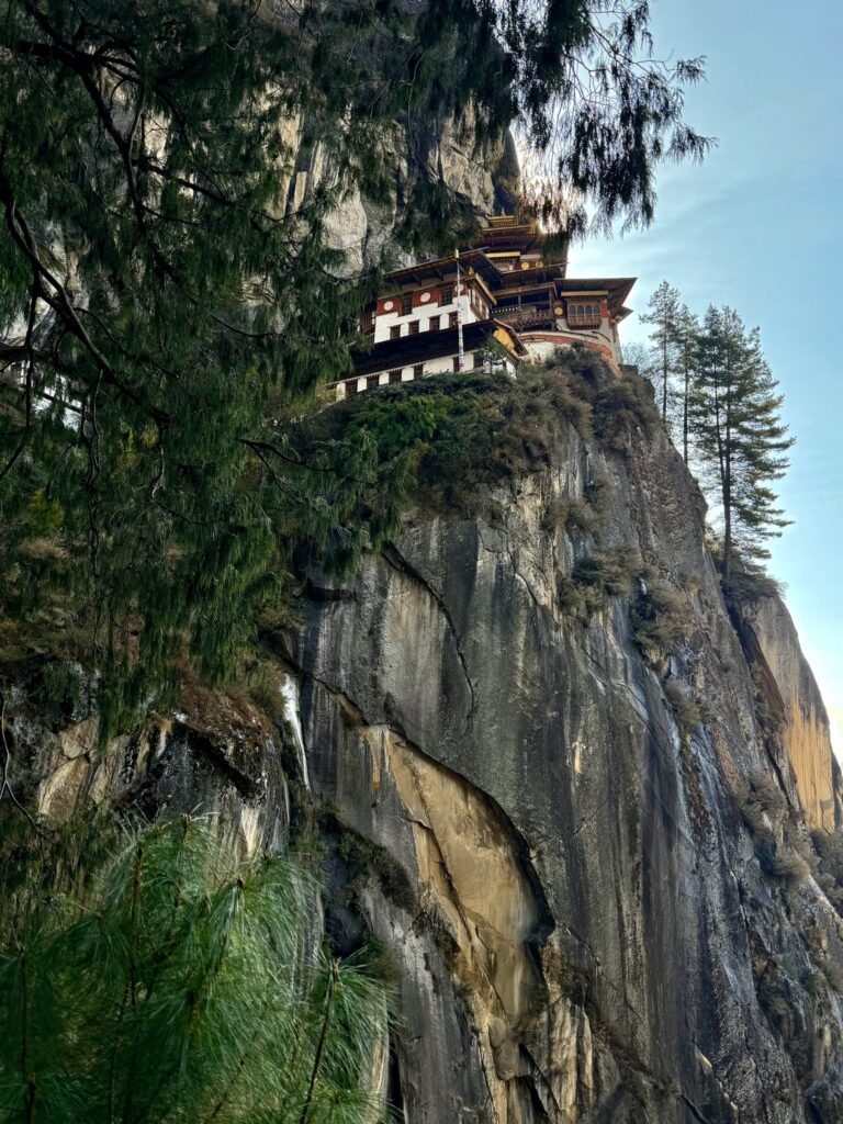 Without nails or design plans 