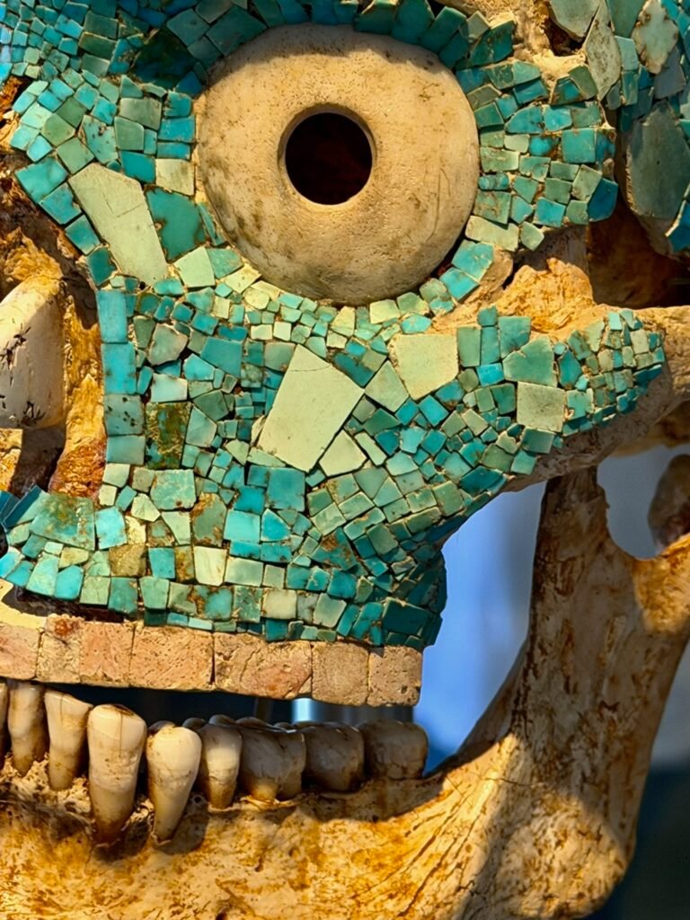 ...with amazing treasures. 