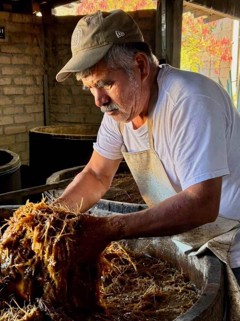 Under the careful supervision of famous mescaleros like Carlos 