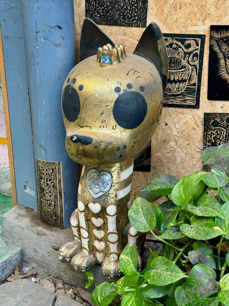 Another hairless Oaxacan  