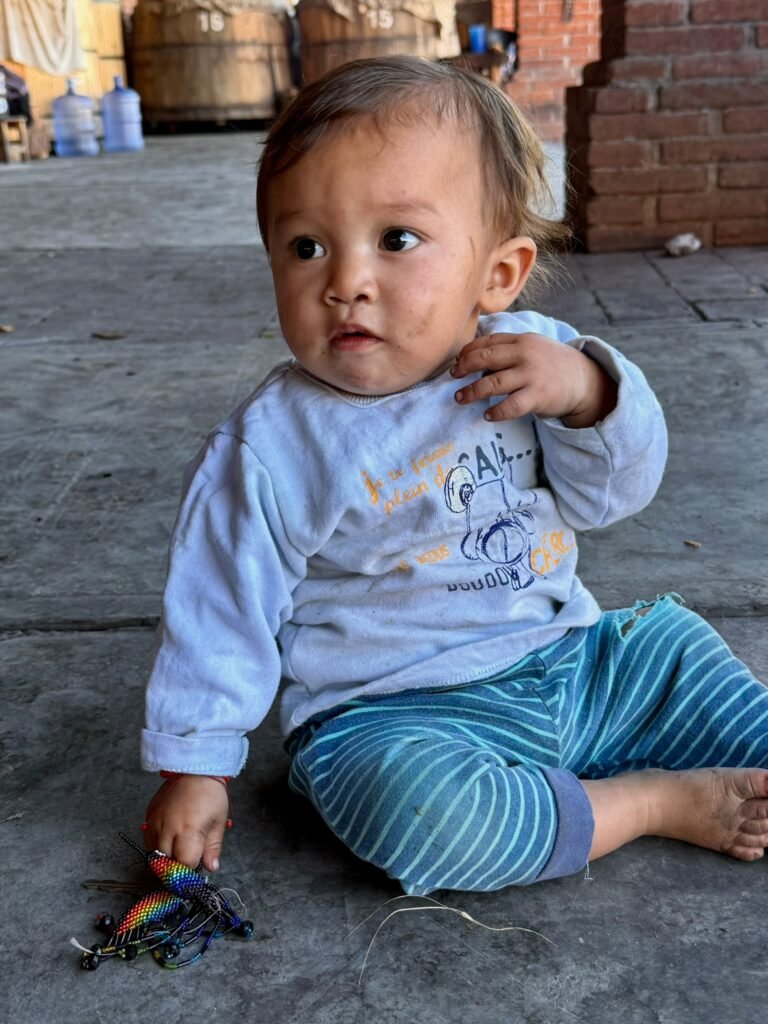 The next generation of mescalero looks on 