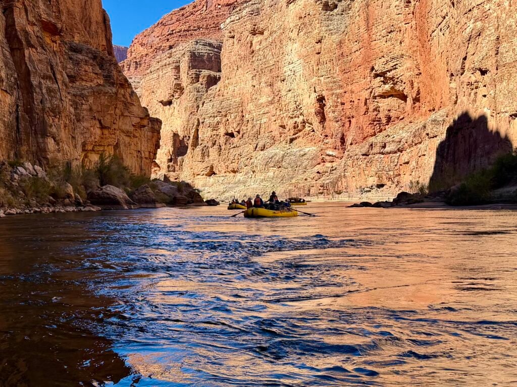Afternoon canyon light 