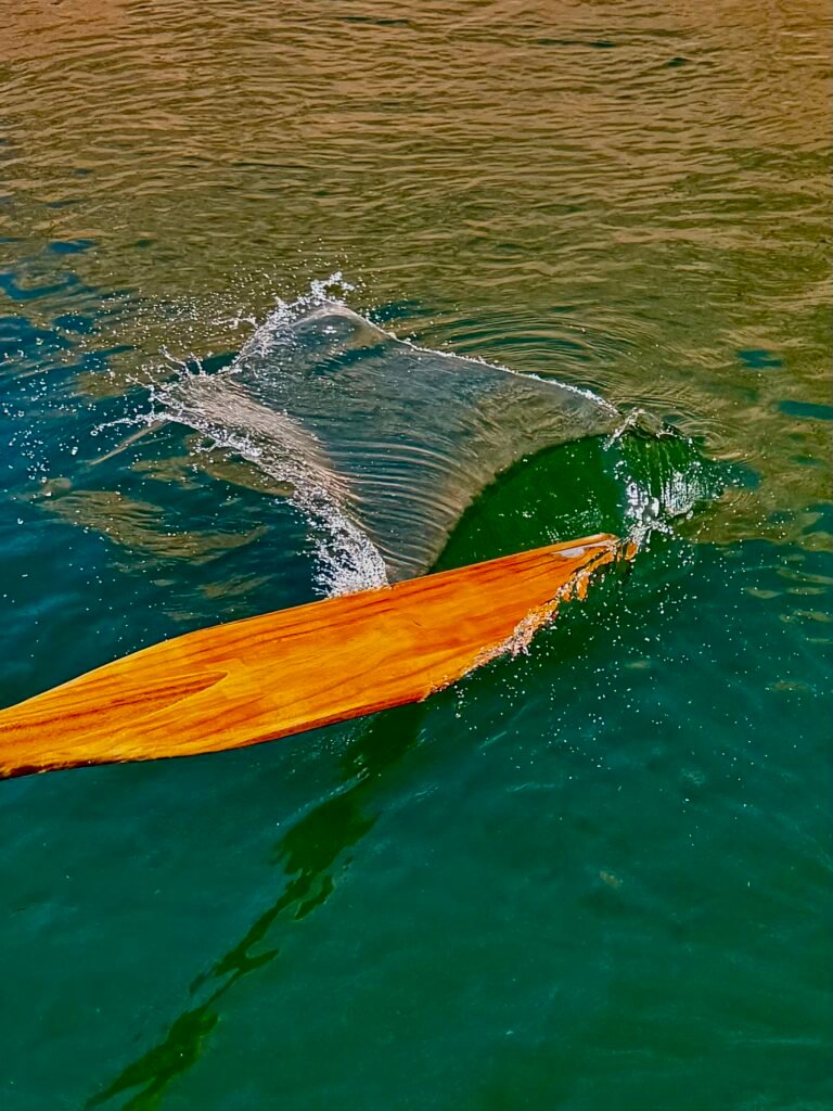 The first oar dips - 227 miles of immersion into the unknown begins 