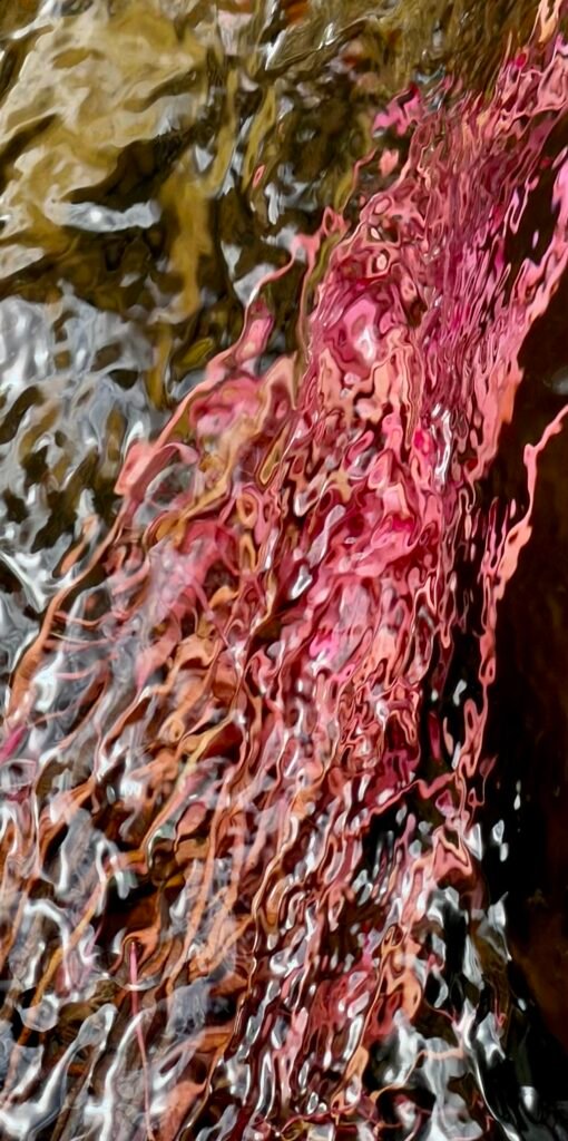 Shimmering life along the river 